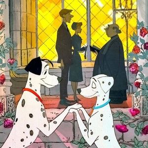 Meet your Posher, Kirsten